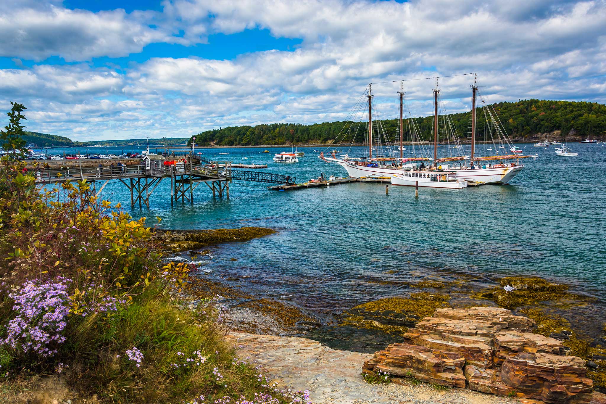 A picturesque New England harbor, where a large sailing ship is tied to a weathered pier surrounded by small boats navigating the water. Lush greenery and blooming wildflowers add vibrant colors to the rocky shoreline under a partly cloudy sky.