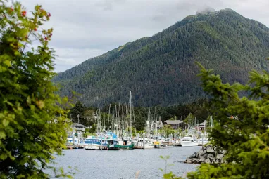 Marina filled with sailboats and fishing vessels, framed by green mountains and trees in the foreground.