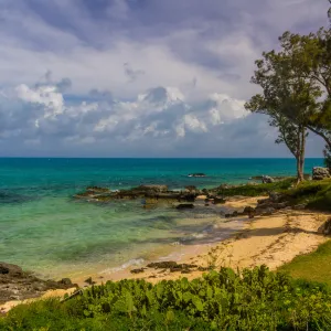 bermuda beach