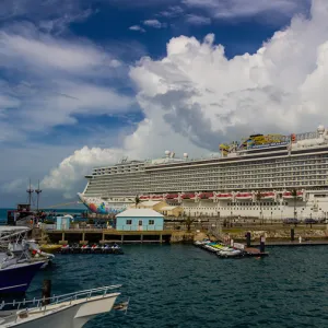 Large docked cruise ship